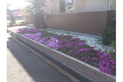 お花